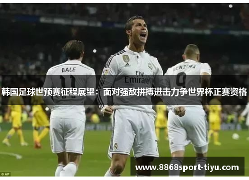 韩国足球世预赛征程展望：面对强敌拼搏进击力争世界杯正赛资格