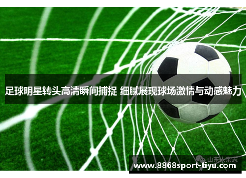 足球明星转头高清瞬间捕捉 细腻展现球场激情与动感魅力