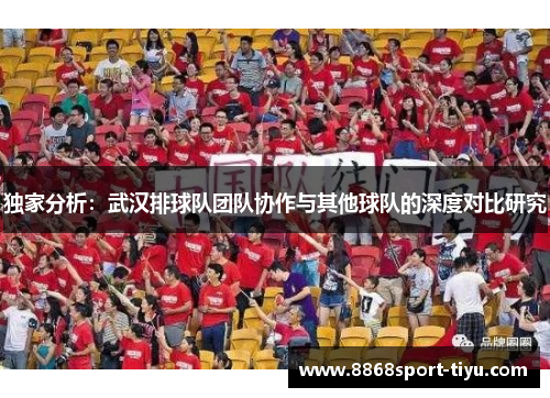 独家分析：武汉排球队团队协作与其他球队的深度对比研究