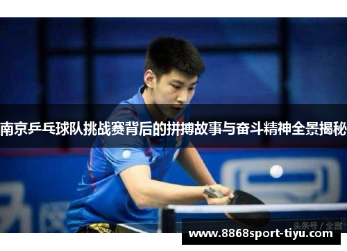 南京乒乓球队挑战赛背后的拼搏故事与奋斗精神全景揭秘